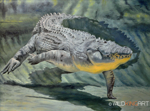 Crocodile Dance
