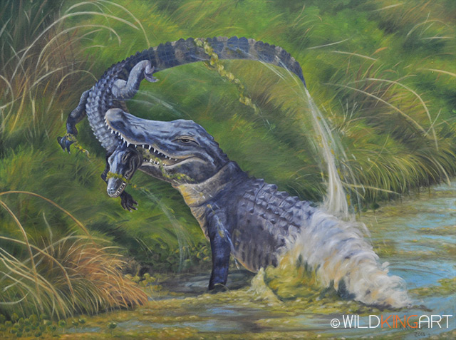 WildKingArt  Gator Attack