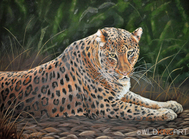 Leopard Watch