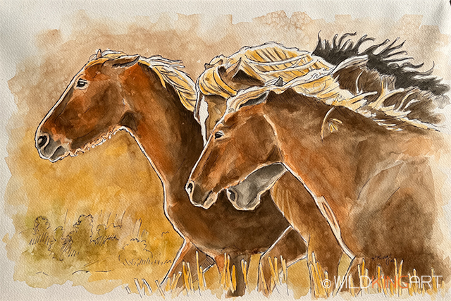 Sunset Mustangs