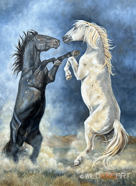 Wild Horse Standoff