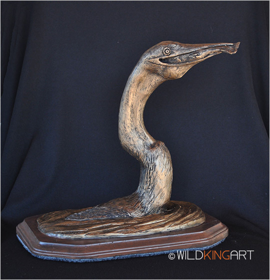 Anhinga