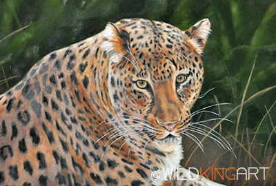 Leopard Watch