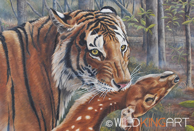 Tiger in The Woods