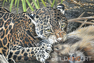 Waterhole Kill