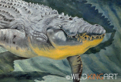 Crocodile Dance