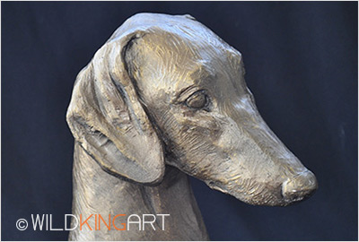 Doberman
