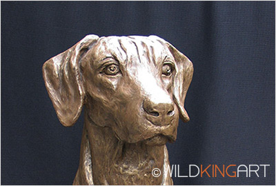 Rhodesian Ridgeback